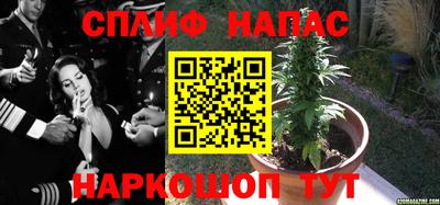 ПСИЛОЦИБИНОВЫЕ ГРИБЫ Севастополь