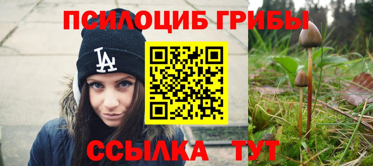 Псилоцибиновые грибы Cubensis  Псилоцибиновые грибы GOLDEN TEACHER  Архангельск  Вход с VPN 